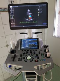 Ultraschall | Tierarztpraxis Dr. Stefan Burkert in Bad Griesbach